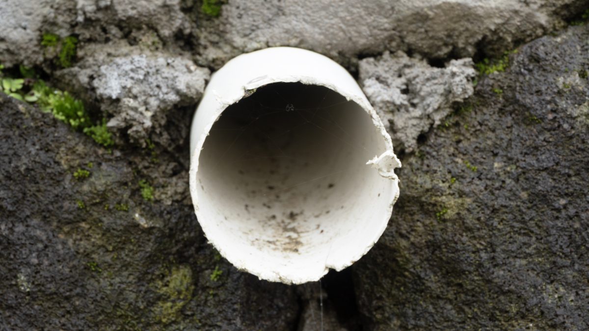 Broken pipe stub in a mossy stone wall with a drop of water at the lip